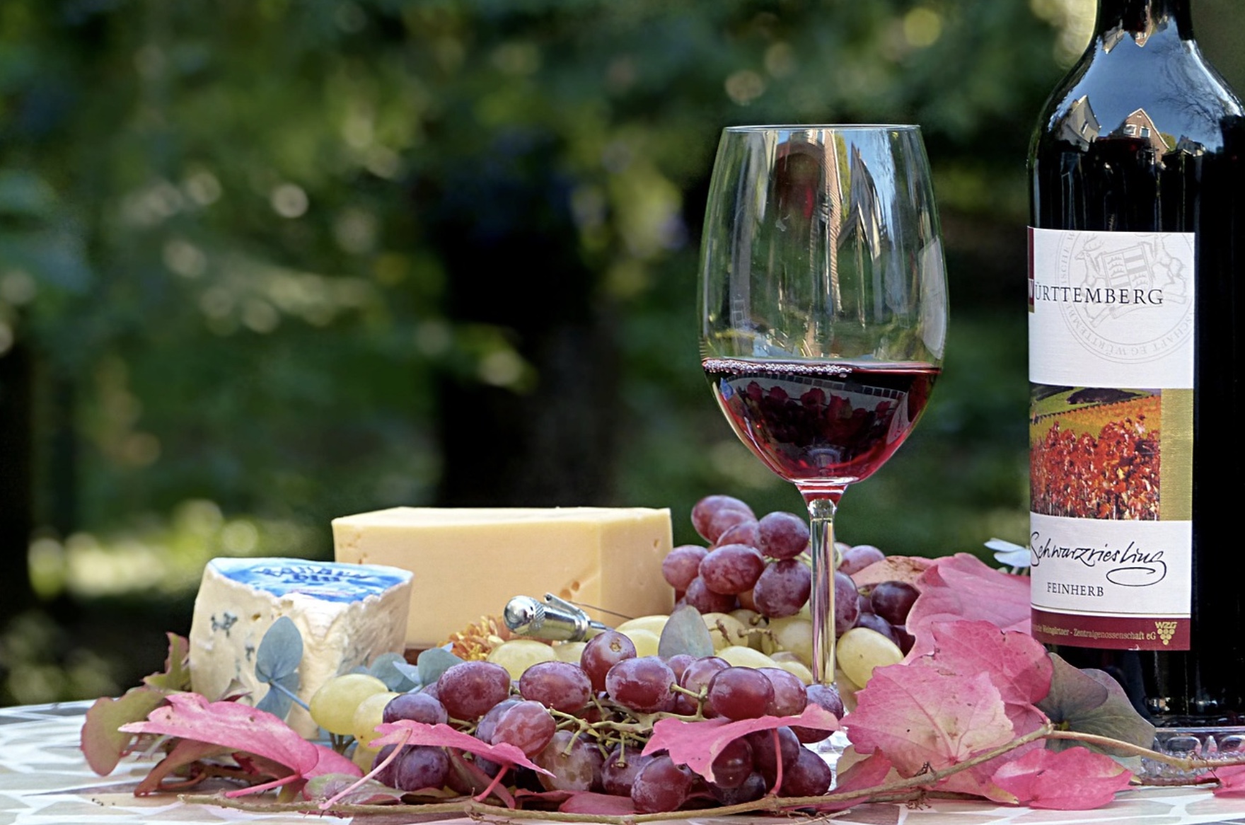 Quels vins boire en automne ? Notre sélection pour la saison