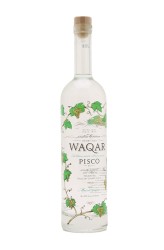 Pisco Waqar