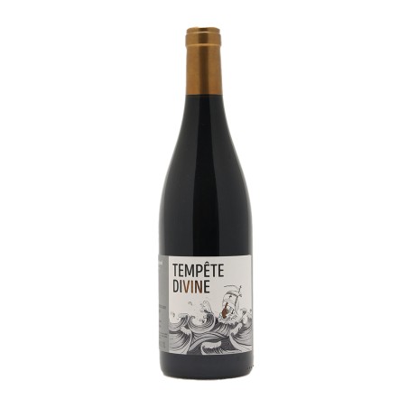 Dom. Dupond Brouilly Tempête Divine