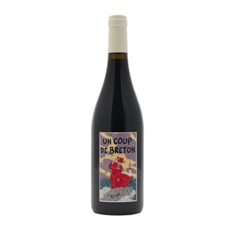 Dom. Vallettes Bourgueil Coup de Breton