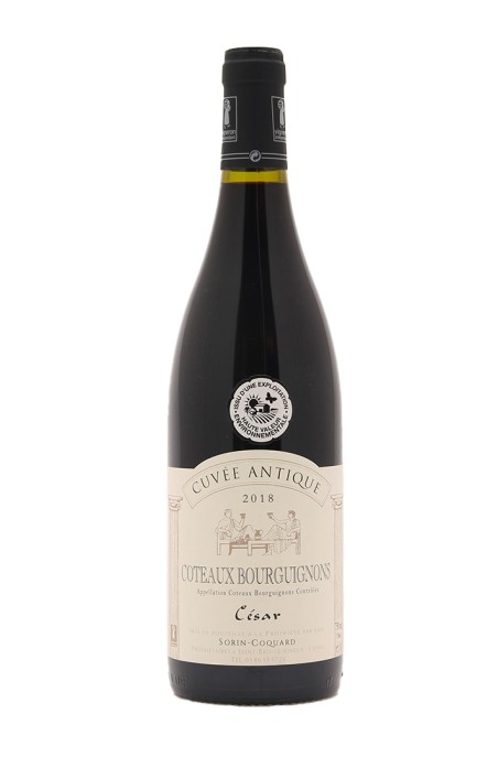 Dom. Sorin Coquard Ctx Bourguignon César