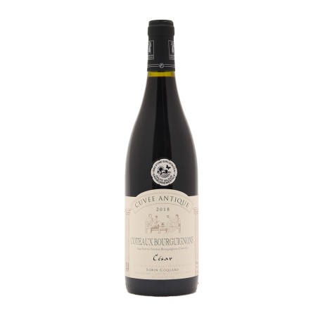Dom. Sorin Coquard Ctx Bourguignon César