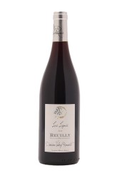 Dom. Renaudat Reuilly rouge