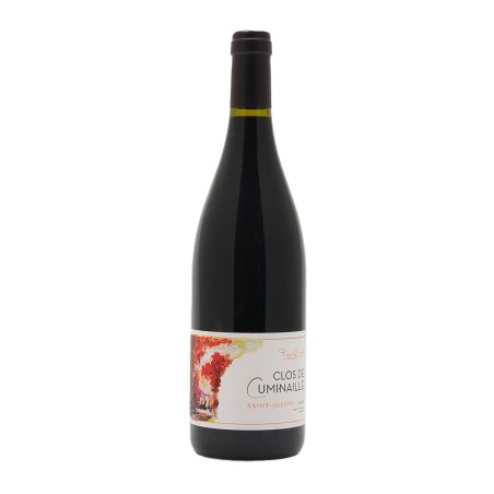 Dom. Pierre Gaillard St Joseph Rouge Clos Cuminaille