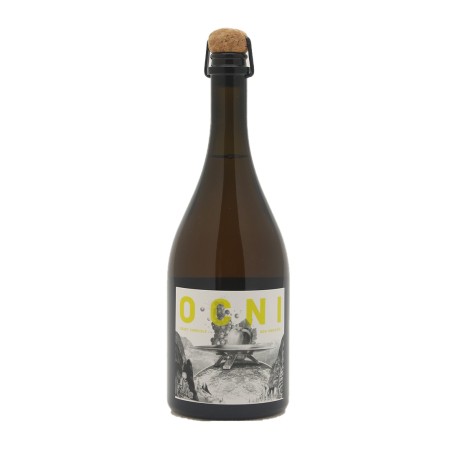 Ocni N°2 Pomme - Melon Distillerie du Gorvello